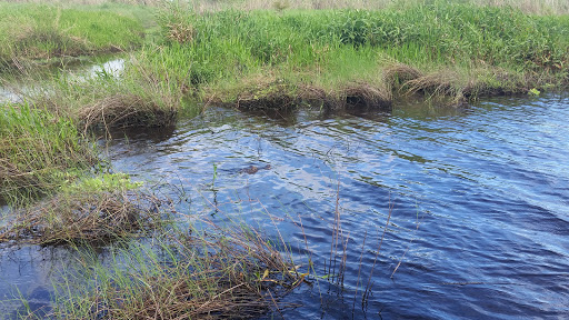 Tourist Attraction «Twister Airboat Rides», reviews and photos, 8199 W King St, Cocoa, FL 32926, USA