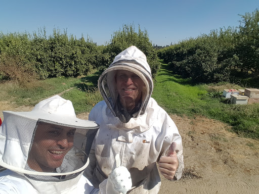 Kingsburg Honey image