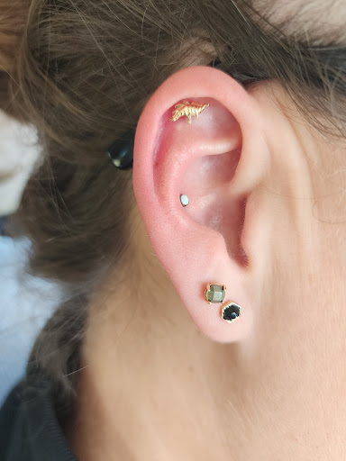 Explore tattoo ideas for men half sleeve, creative tattoo ideas in Great Falls, available at Three Moons Body Shop