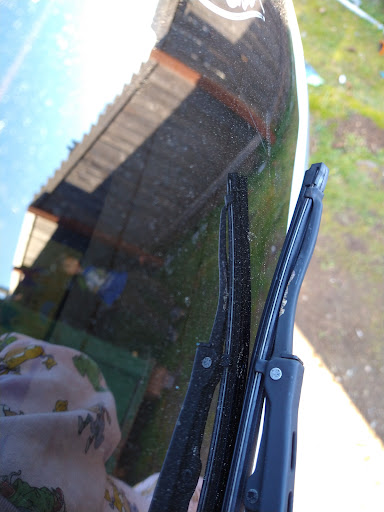 Car Wash «Brown Bear Car Wash», reviews and photos, 3002 S 38th St, Tacoma, WA 98409, USA