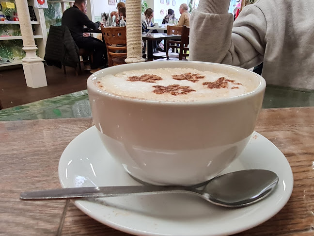 Reviews of Bedford Cat Café in Bedford - Coffee shop