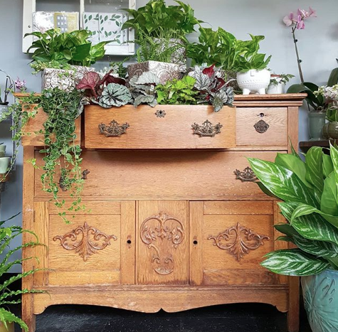 Florist «Providence Florist - Blooming Blossoms», reviews and photos, 780 Hope St, Providence, RI 02906, USA