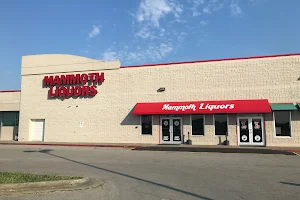 Mammoth Liquors #2 image