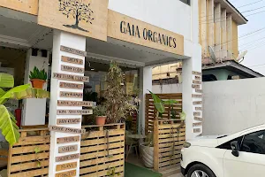 Gaia organics Cafe and retail image