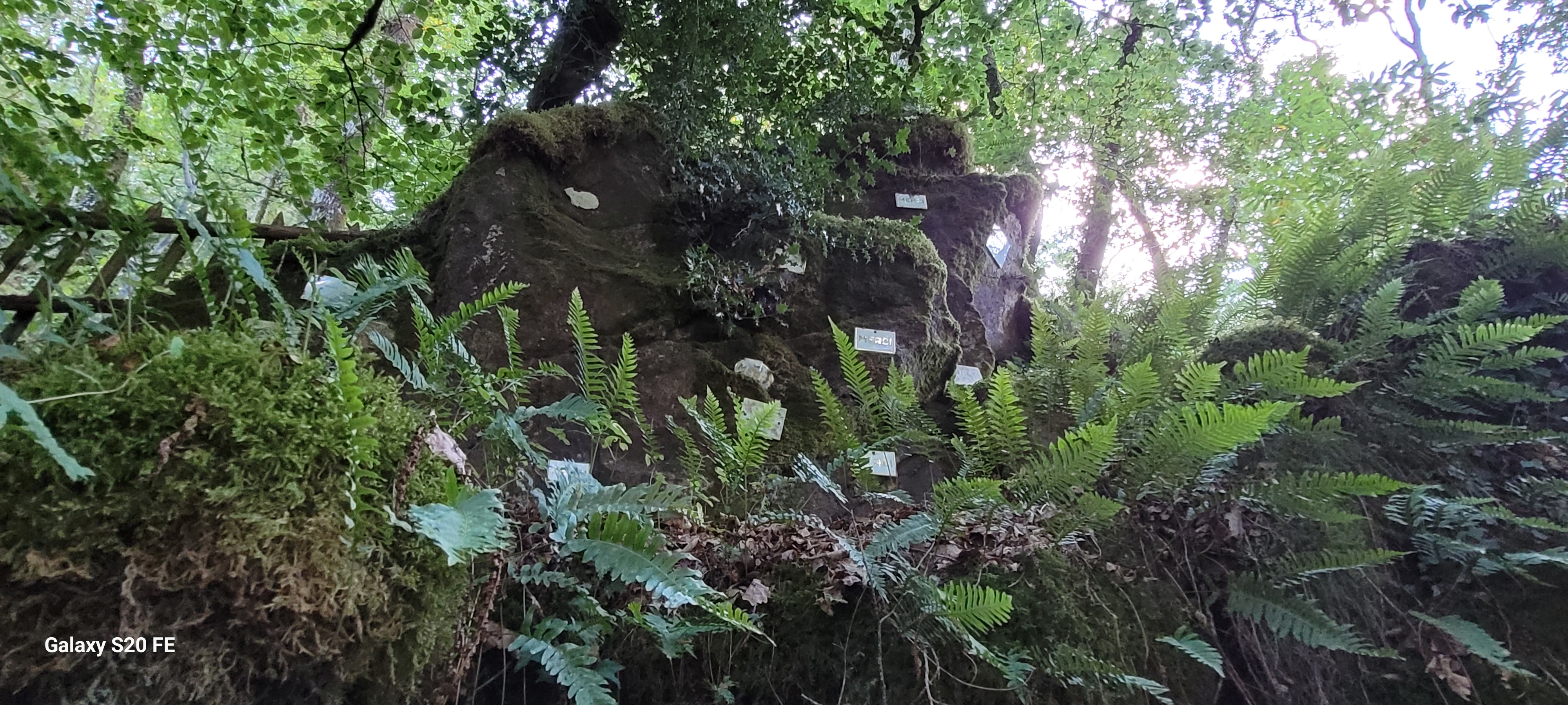 Photo n° 8 de l'avis de Christian.a fait le 19/08/2023 à 22:37