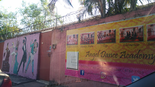 Ballet schools in San Pedro Sula