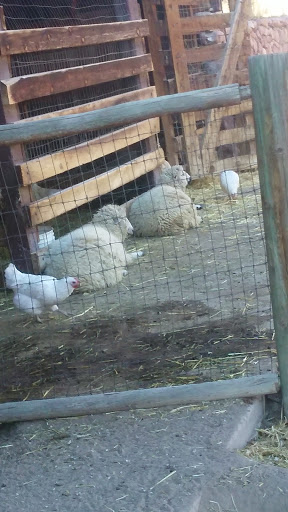 Private Golf Course «Kissing Camels Golf Course», reviews and photos, 4500 Kissing Camels Dr, Colorado Springs, CO 80904, USA