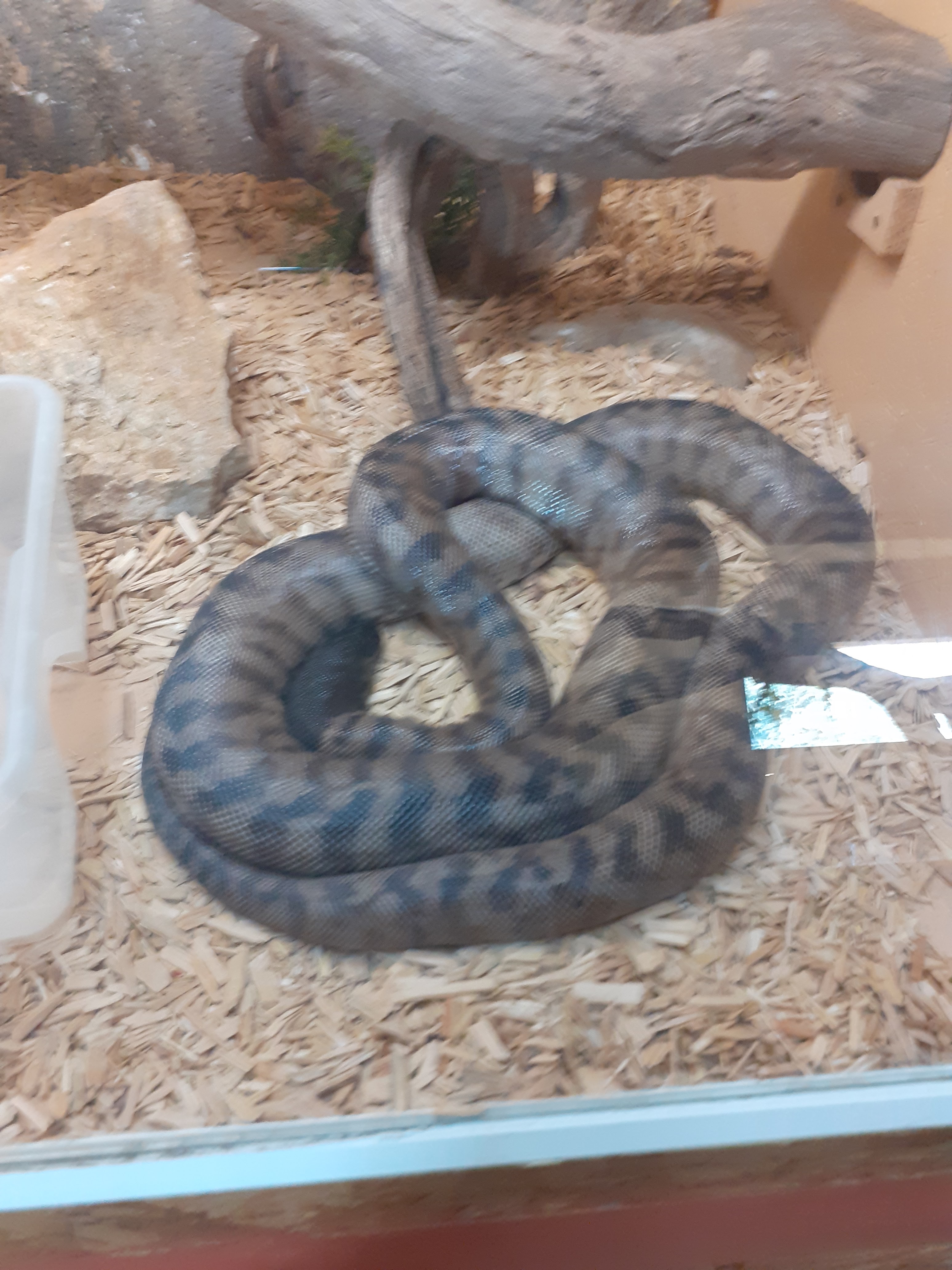 Photo n° 8 de l'avis de valjeux. fait le 26/07/2022 à 11:30