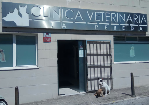 Clínica Veterinaria La Pereda en Santander