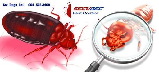 Securec Pest Control and Fumigation Service