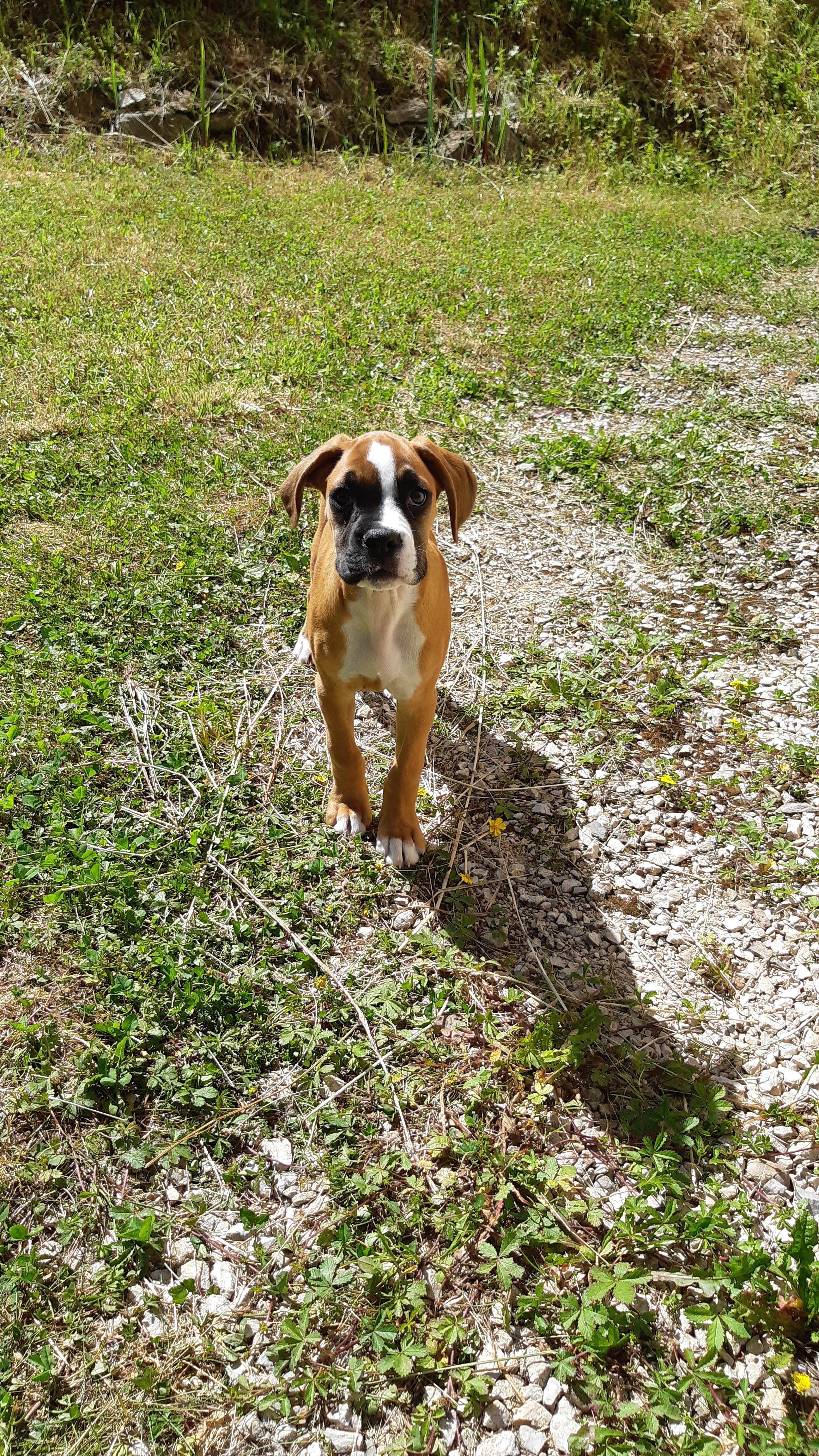 Photo n° 1 de l'avis de Stéphanie.A fait le 19/05/2021 à 16:43