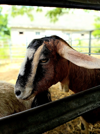 Farm «B & B Flower Farm», reviews and photos, 668 Jones Hill Rd, West Haven, CT 06516, USA