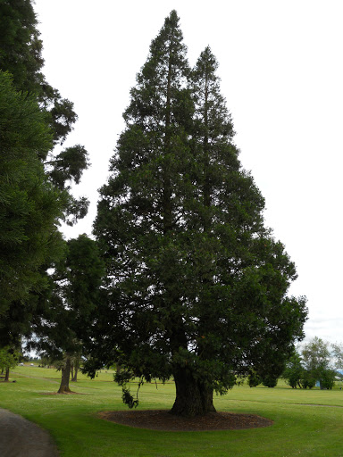 Golf Course «Oak Knoll Golf Course & Driving Range», reviews and photos, 6335 OR-22, Independence, OR 97351, USA