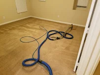 Castillos Carpet Cleaning & Pro Steamers - Car repair in Las Vegas, NV, Enterprise - Rated 4.0/5