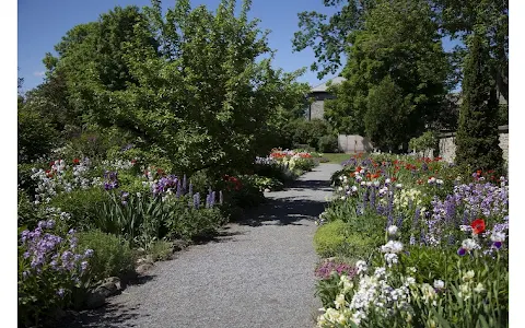 Maplelawn Garden image