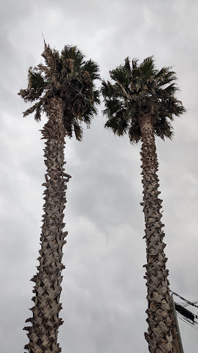 Ice Cream Shop «Afters Ice Cream», reviews and photos, 1265 E Green St, Pasadena, CA 91106, USA