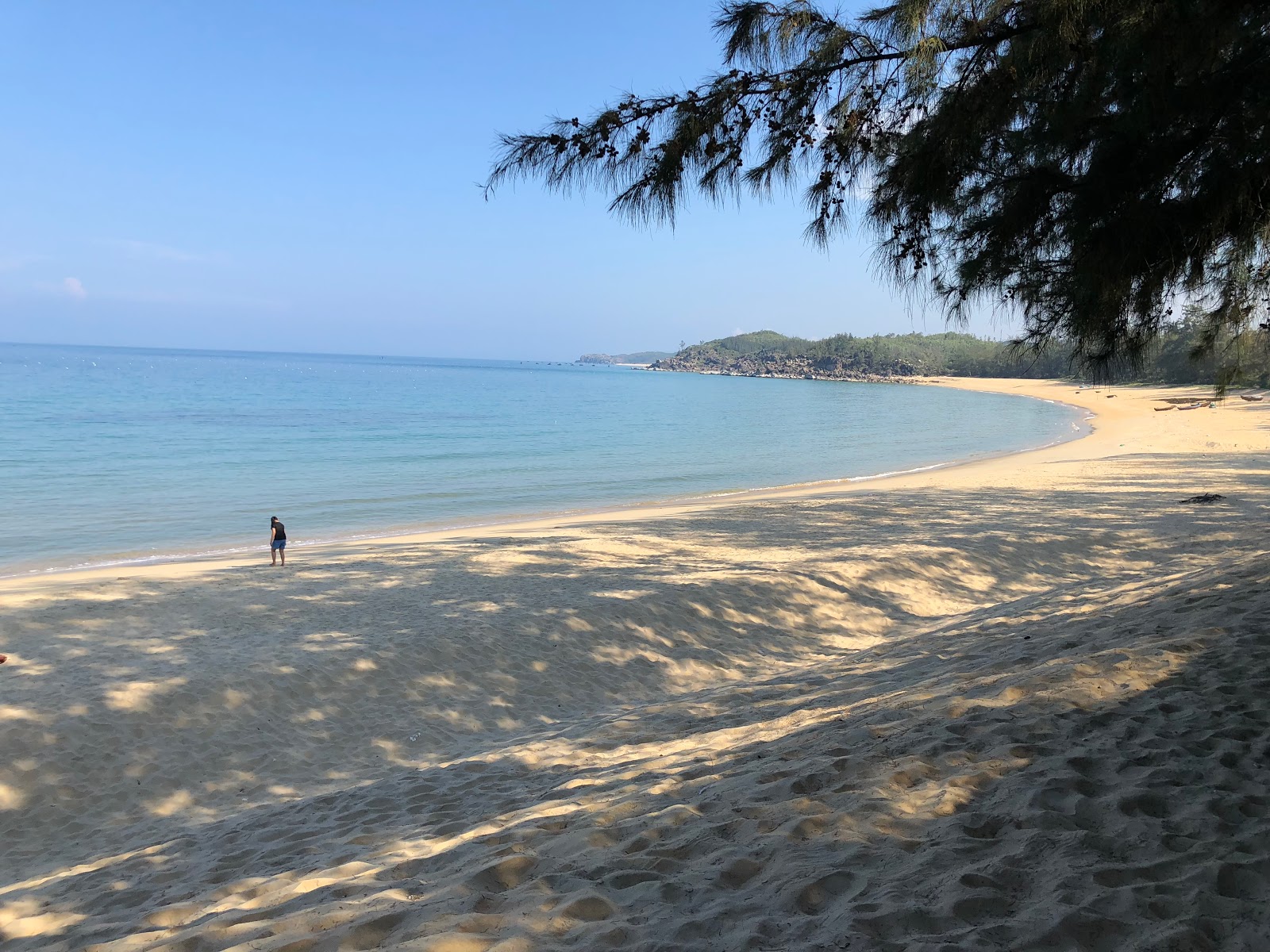 Chau Me Beach的照片 带有宽敞的海湾