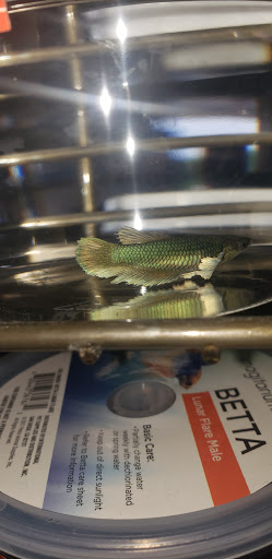 Pet Supply Store «Petco Animal Supplies», reviews and photos, 6025 Kruse Dr #159, Solon, OH 44139, USA