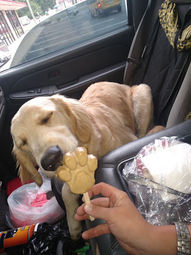 Ice Cream Shop «Las Delicias», reviews and photos, 1815 Old Morrilton Hwy #103, Conway, AR 72032, USA