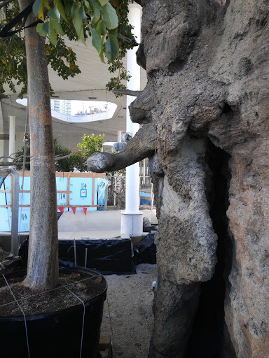 Park «Museum Park», reviews and photos, 1075 Biscayne Blvd, Miami, FL 33132, USA