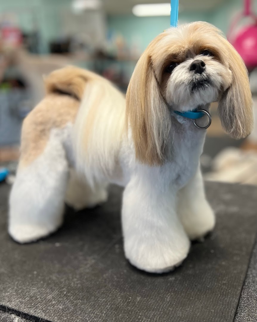 Simply Wonderful KC Pet Groomer & Supplies