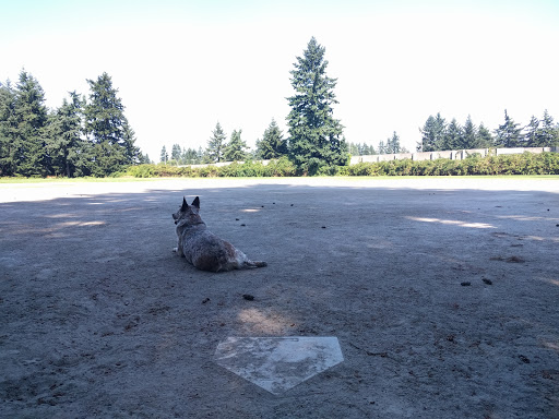Park «Northacres Park», reviews and photos, 12718 1st Ave NE, Seattle, WA 98125, USA