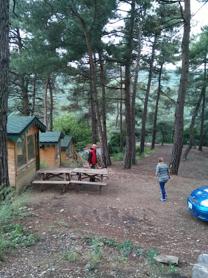 Milli Eğitim Bakanlığı Ahmet Hamdi Gökbayrak Anadolu Öğretmen Lisesi Hatıra Ormanı
