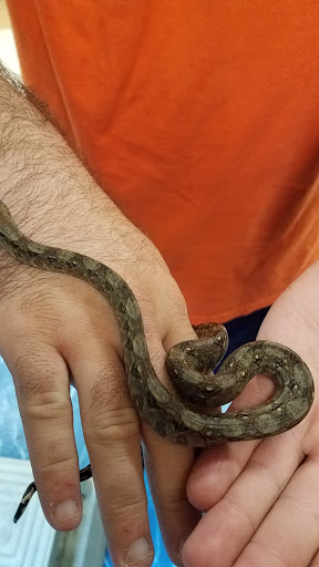 Pet Supply Store «Petco Animal Supplies», reviews and photos, 5975 20th St, Vero Beach, FL 32966, USA