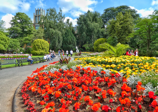 Urban gardens Belfast