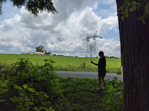 Nature Preserve «Sadsbury Woods Preserve», reviews and photos, Ramblewood Dr & Northwood Dr, Coatesville, PA 19320, USA