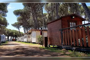 Camping Bocca di Cecina image