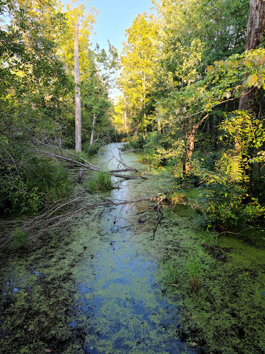 Nature Preserve «Beanblossom Bottoms Nature Preserve - Sycamore Land Trust», reviews and photos, N Woodall Rd, Ellettsville, IN 47429, USA