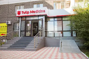 Tulip Medicine image