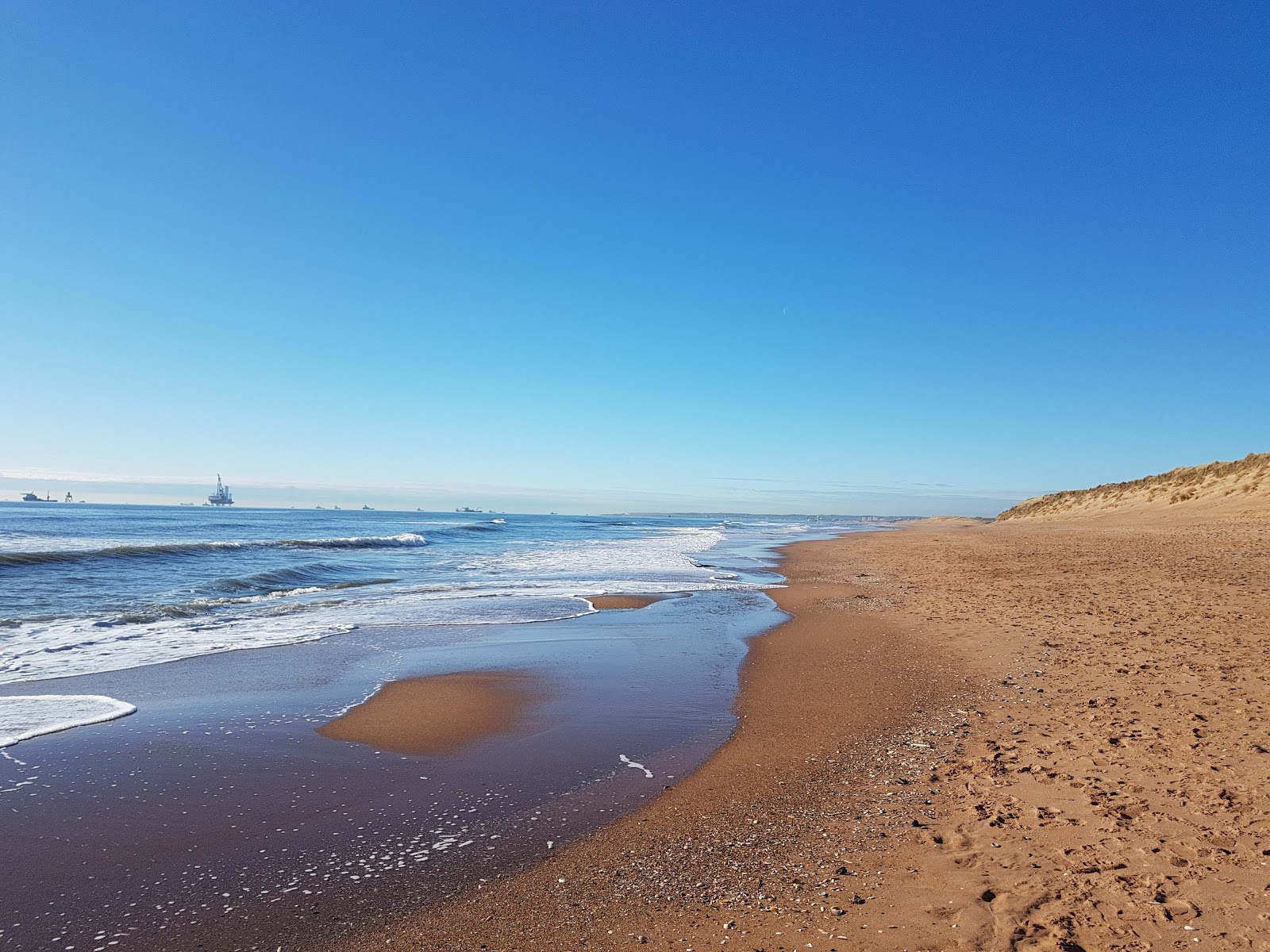 Foto van Balmedie Strand wilde omgeving