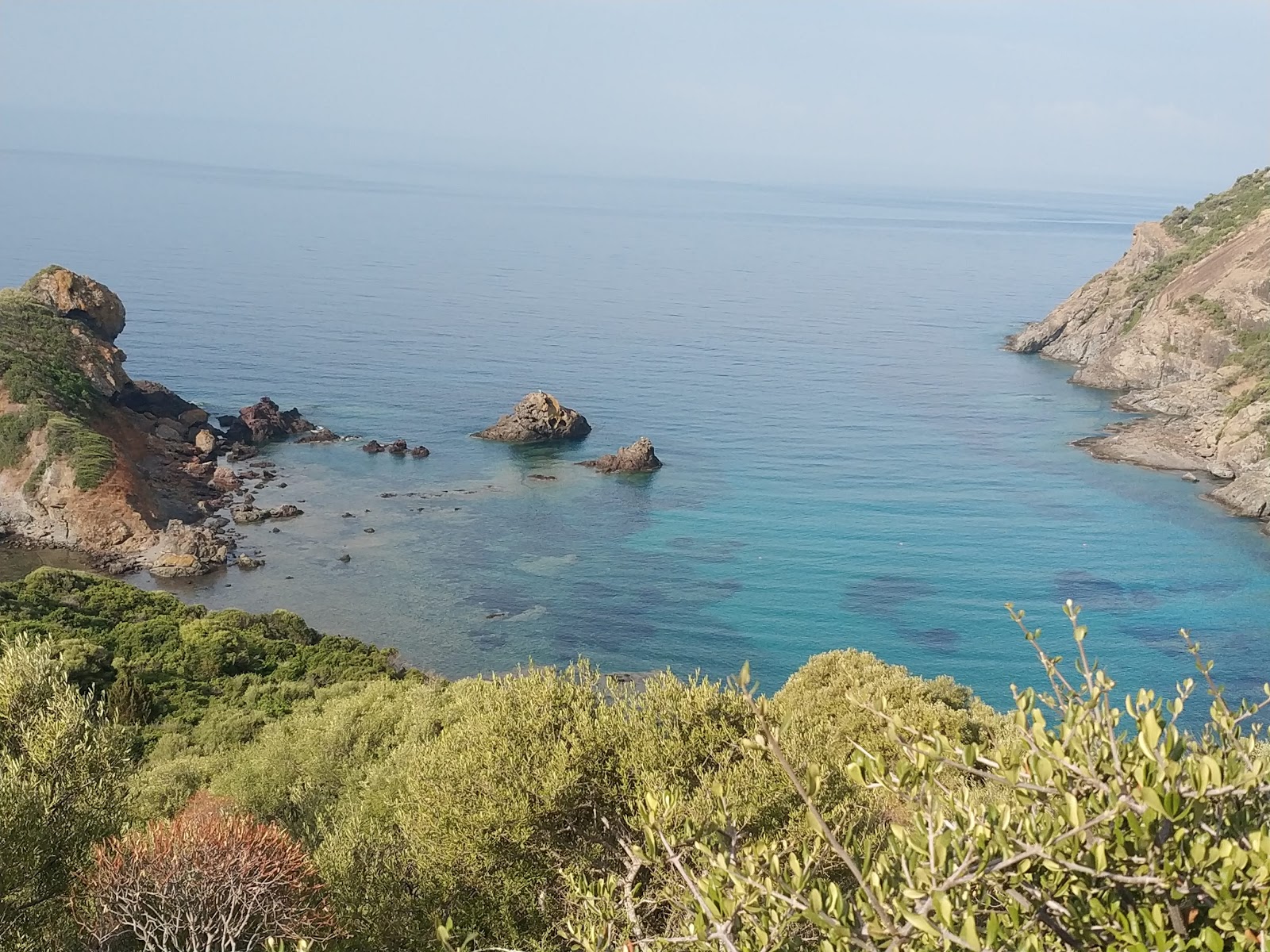 Fotografija Porto Managu beach divje območje