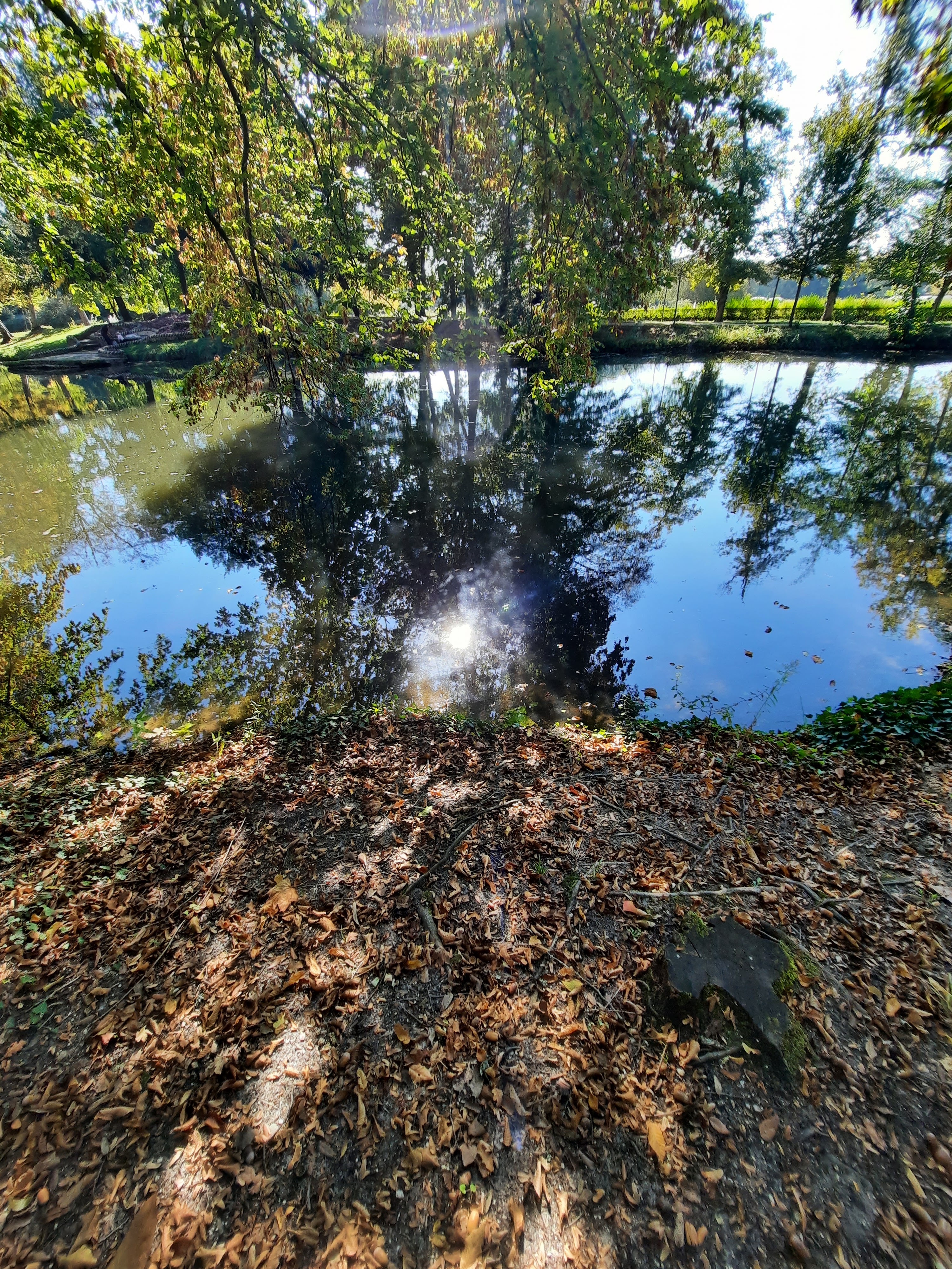 Photo n° 26 de l'avis de teixeira.a fait le 16/10/2021 à 21:10