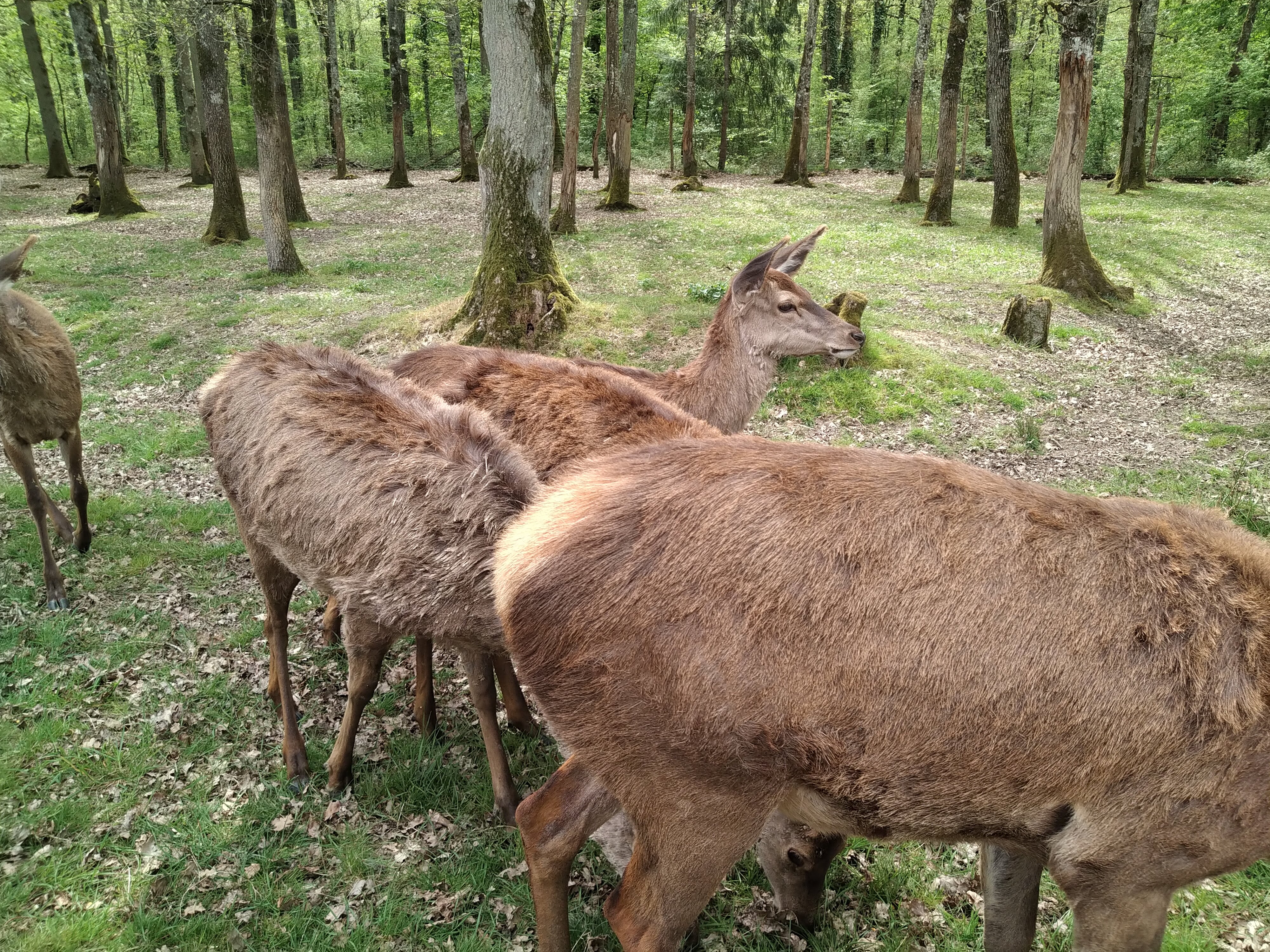 Photo n° 5 de l'avis de ATY.� fait le 22/04/2019 à 11:25