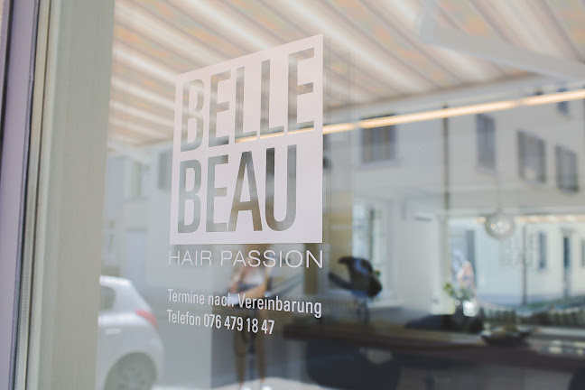 belle & beau hair passion