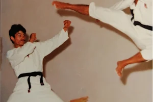 Taekwondo D'Amico image