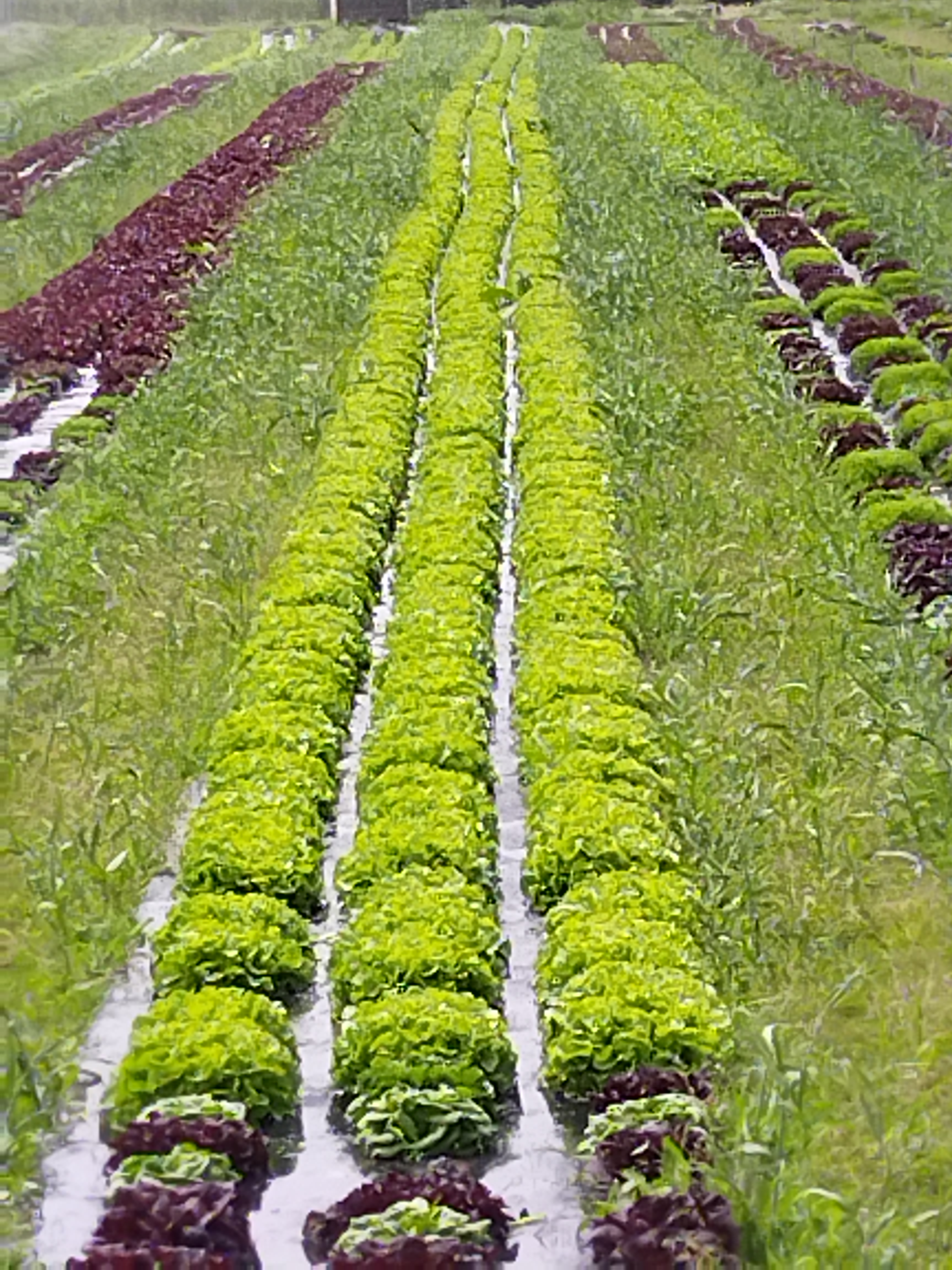 Photo n° 1 de l'avis de ch.i fait le 07/05/2022 à 08:19