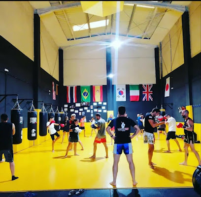 MUAYTHAI BOX TRAINING