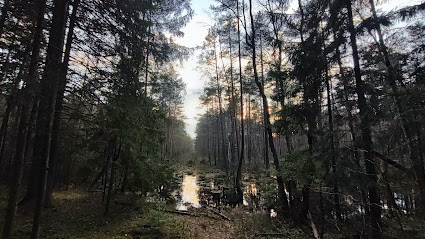 Varnikų pažintinis takas