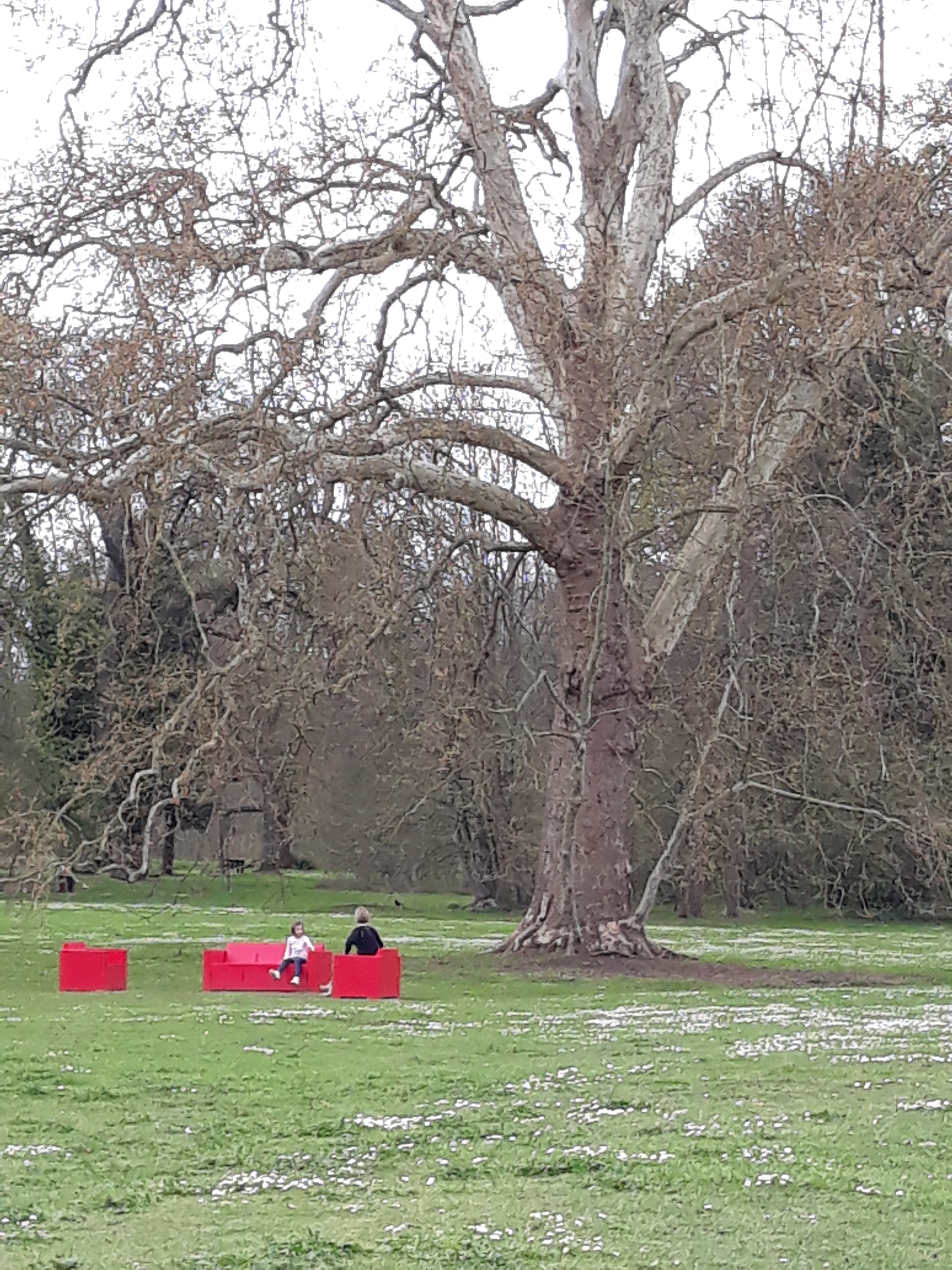 Photo n° 3 de l'avis de Laurence.n fait le 08/04/2019 à 16:05