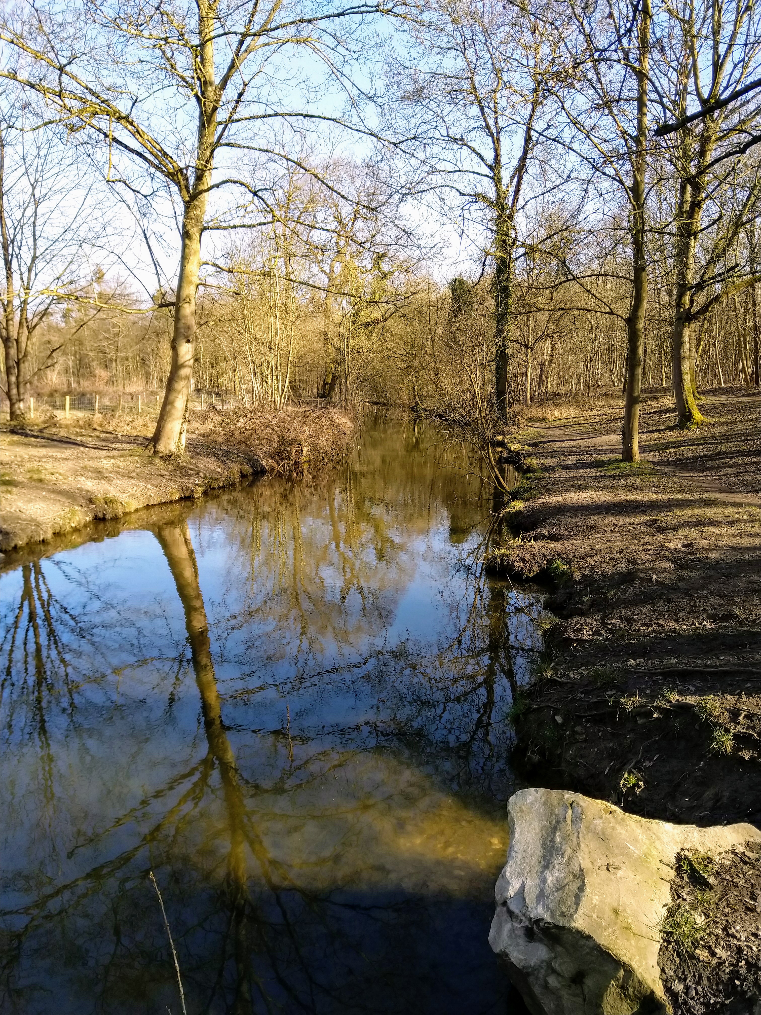 Photo n° 1 de l'avis de Michel.. fait le 07/04/2019 à 18:02