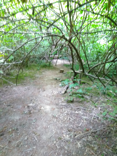 Park «EVERGREEN PARK», reviews and photos, 2615 NW 194th Terrace, Hillsboro, OR 97124, USA