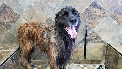 Pet Store «Pet Valu», reviews and photos, 7249 Arlington Blvd, Falls Church, VA 22042, USA