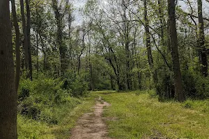 French Creek Trail image