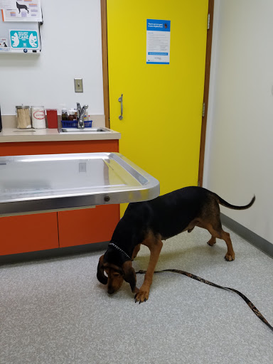 North Park Veterinary Care image