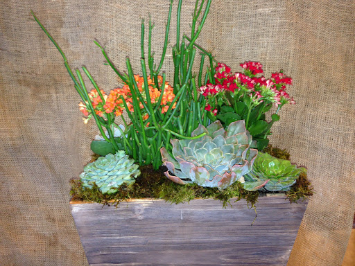 Florist «Foothills Floral Gallery», reviews and photos, 4647 E Chandler Blvd # 10, Phoenix, AZ 85048, USA