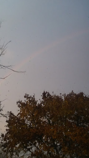 Public Golf Course «Green Oaks Golf Course», reviews and photos, 1775 E Clark Rd, Ypsilanti, MI 48198, USA